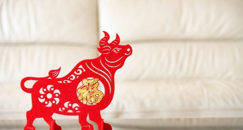 Chinese New Year of the Ox