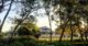 Suburban street with park and trees