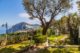 Island of Capri villa 3