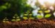 Grow_REIWA_Canva