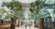marina bay sands interior giant tree forrest