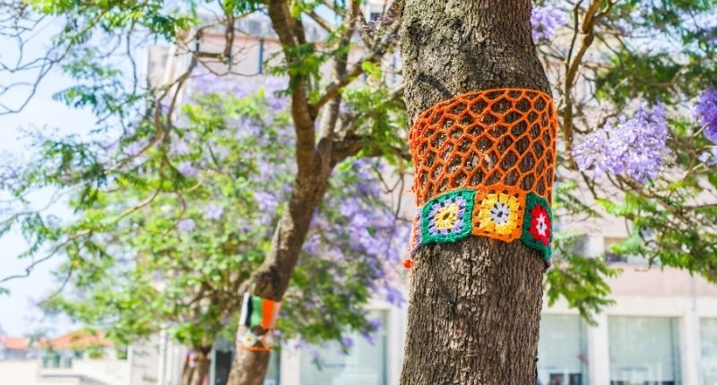 tree yarn bombing creative placemaking diy urbanism