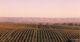 barossa valley