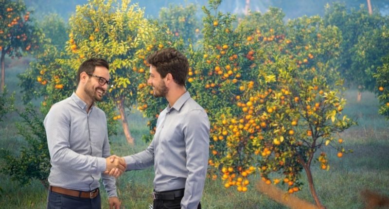 handshake in front of citrus orange lemon tree farm