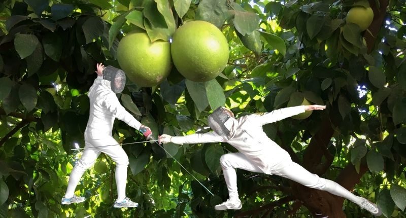 fencing people on a citrus farm