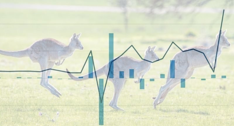 kangaroo-statistics-graph-feature
