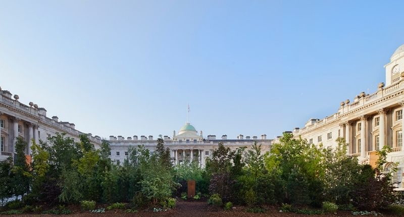 somerset-house-london-design-biennale-forest-for-change-feature