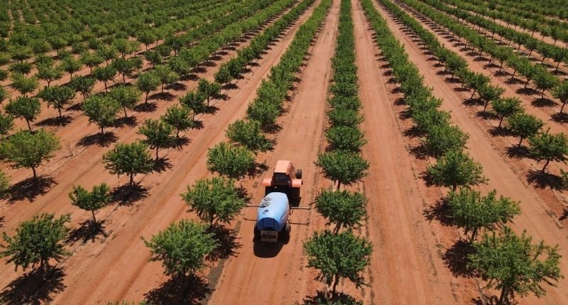 PRIMEWEST_“Moora” Almond Orchard located in Hillston, NSW-feature