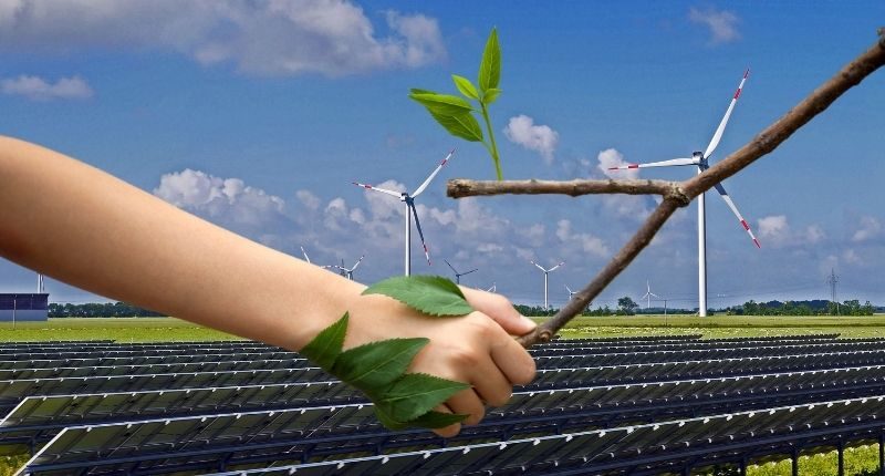 hand-shake-tree-branch-solar-farm-wind-farm-feature