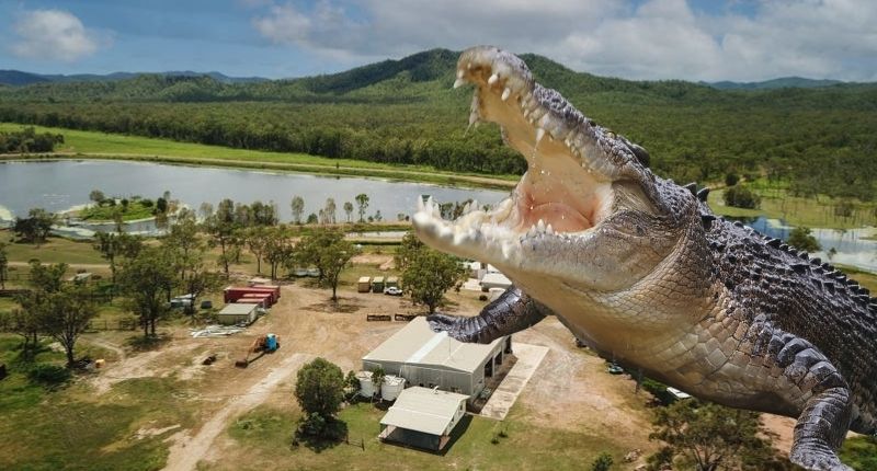 Croc farm to scale up its operation at Gordonvale near Cairns