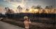 Is your property in a disaster area IMAGE: Canva