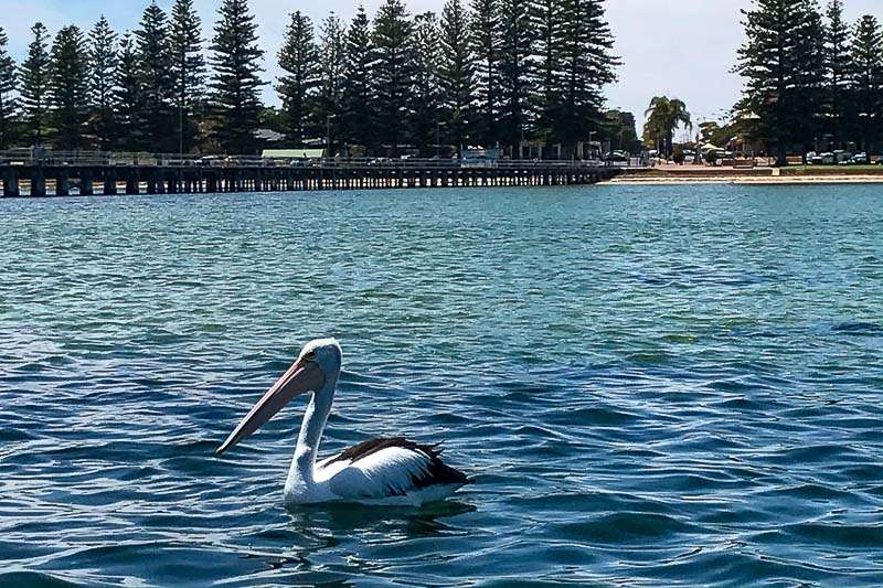 A growing demand for holiday rentals means Port Broughton rentals have gone up 43% to $340pw. IMAGE Exploring South Australia