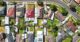 Aerial view of an Australian suburb with a mix of house rooftops